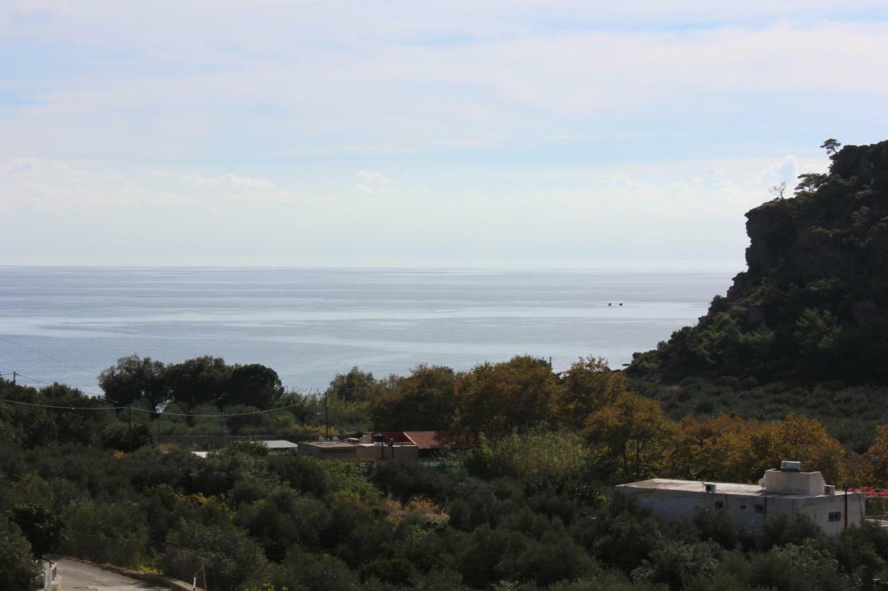 Aaron Studios Apartments Agia Fotia  Dış mekan fotoğraf