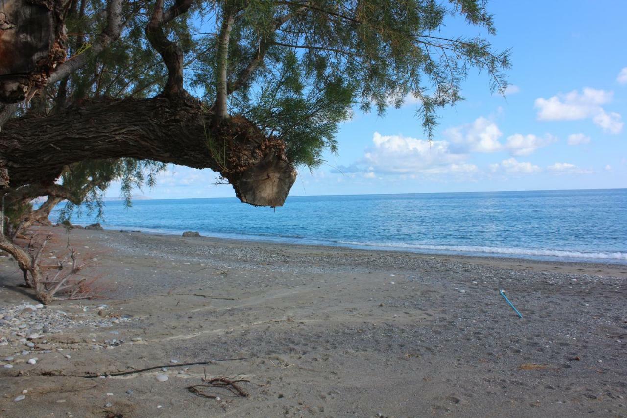 Aaron Studios Apartments Agia Fotia  Dış mekan fotoğraf